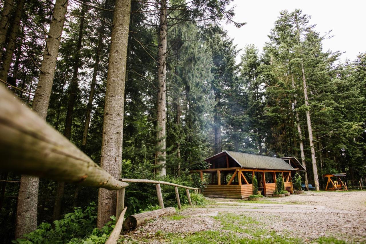 Zelenyy Bir Hotel Skhidnytsia ภายนอก รูปภาพ