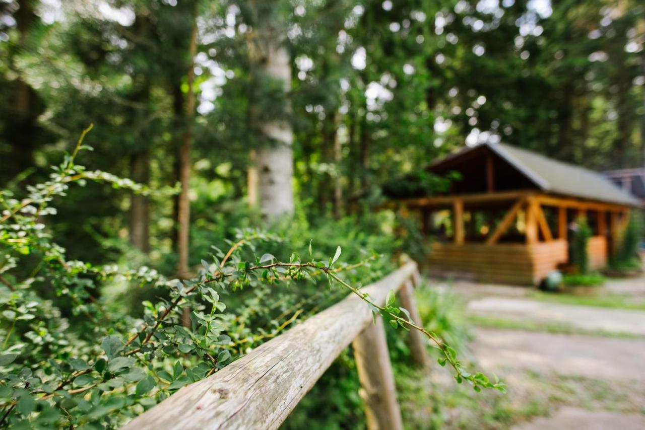 Zelenyy Bir Hotel Skhidnytsia ภายนอก รูปภาพ
