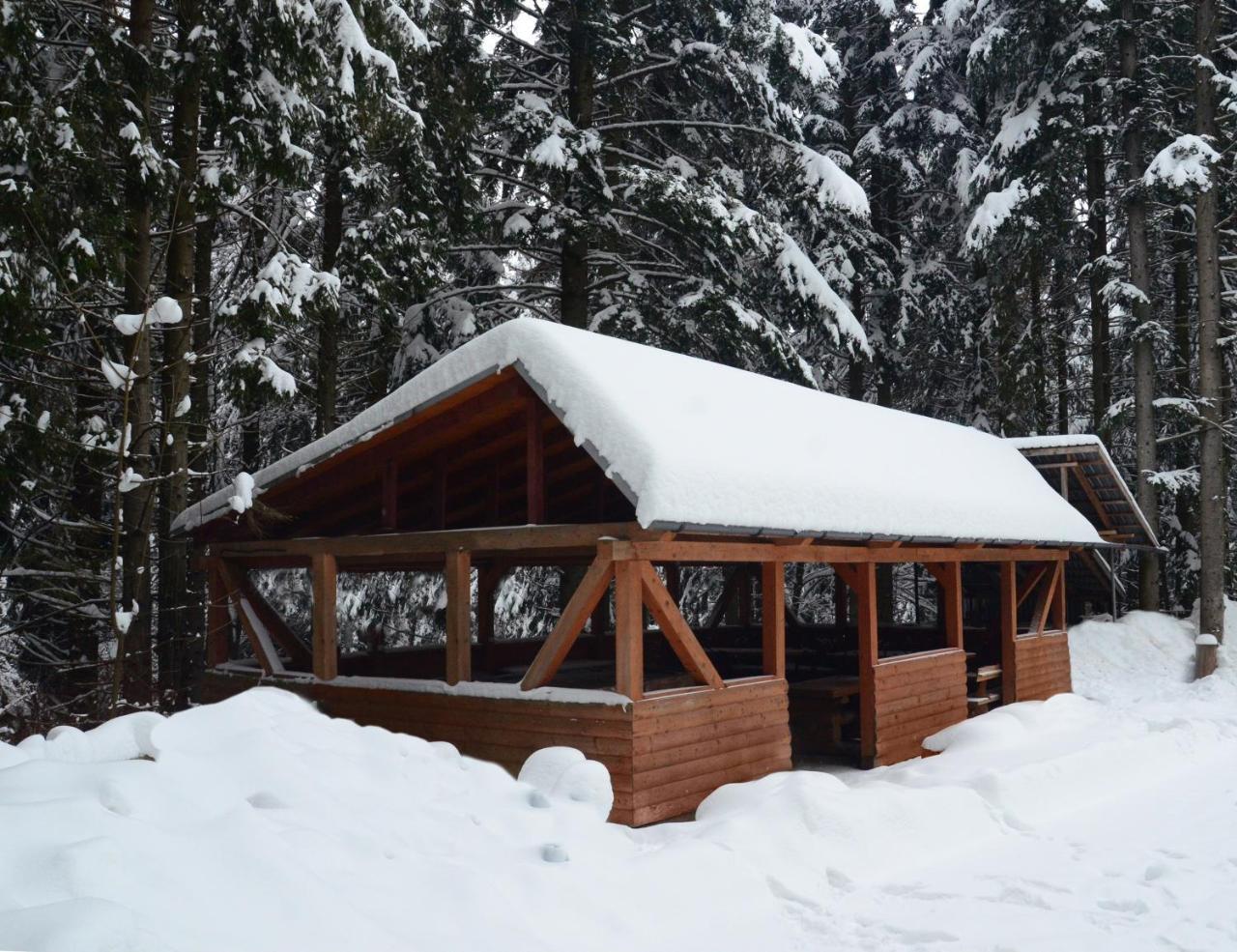 Zelenyy Bir Hotel Skhidnytsia ภายนอก รูปภาพ