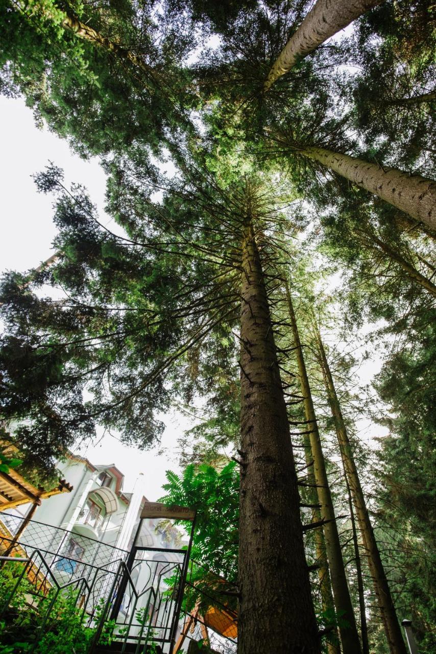 Zelenyy Bir Hotel Skhidnytsia ภายนอก รูปภาพ