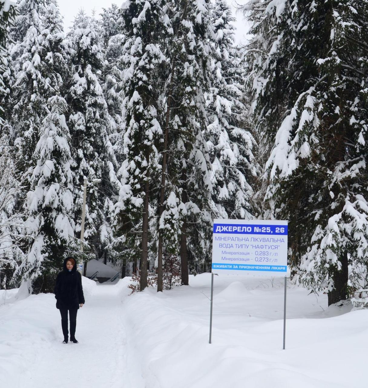 Zelenyy Bir Hotel Skhidnytsia ภายนอก รูปภาพ
